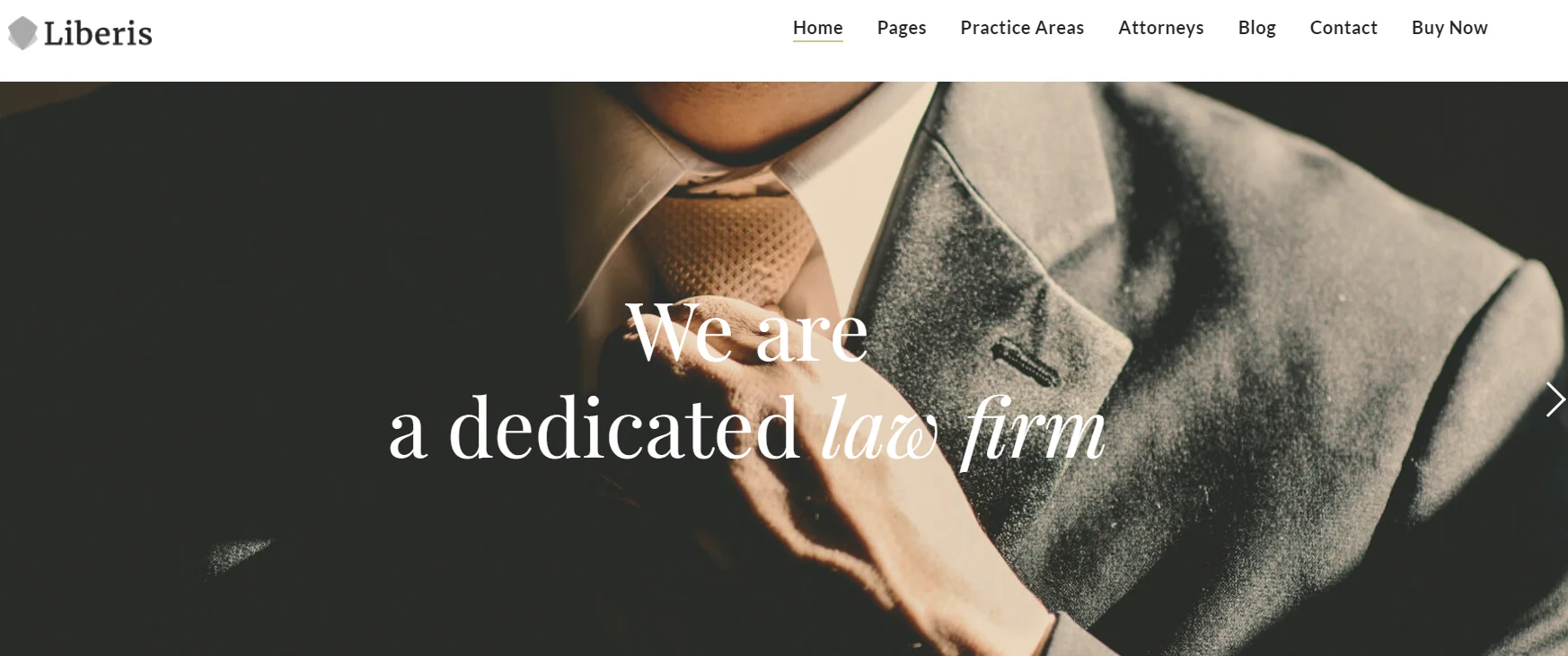 Liberis Law Firm Website Themes
