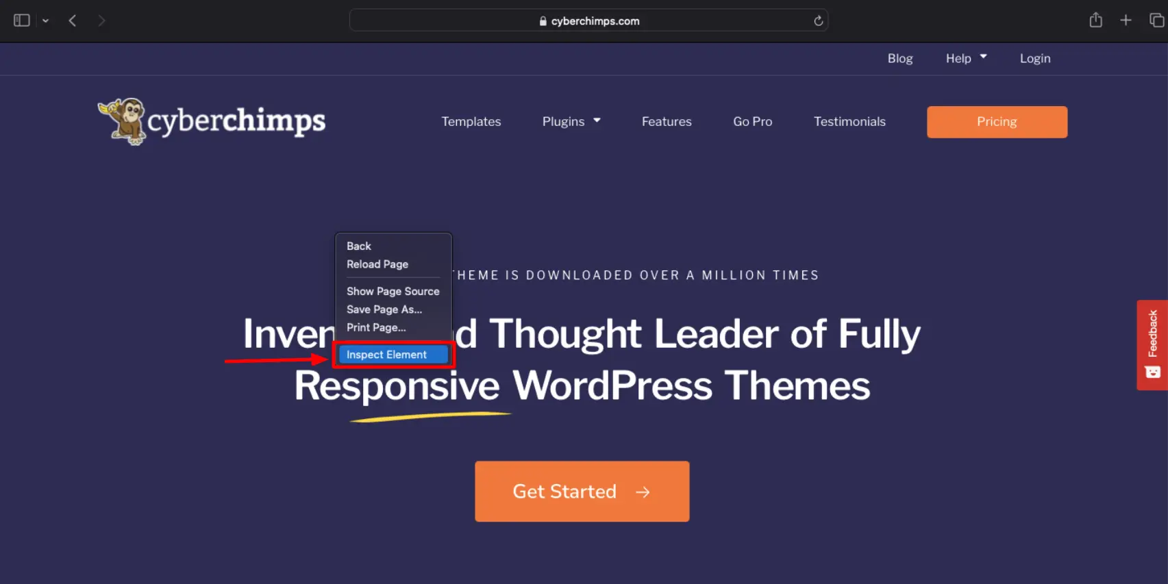 Inspect Element
