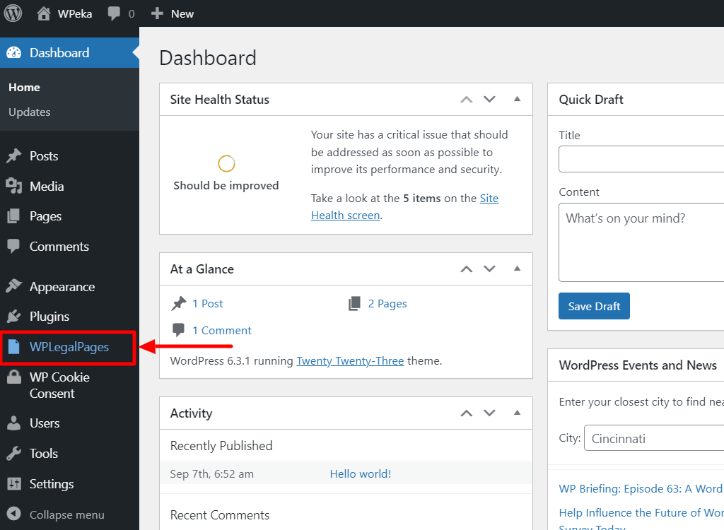 accepting the terms and condiitons 