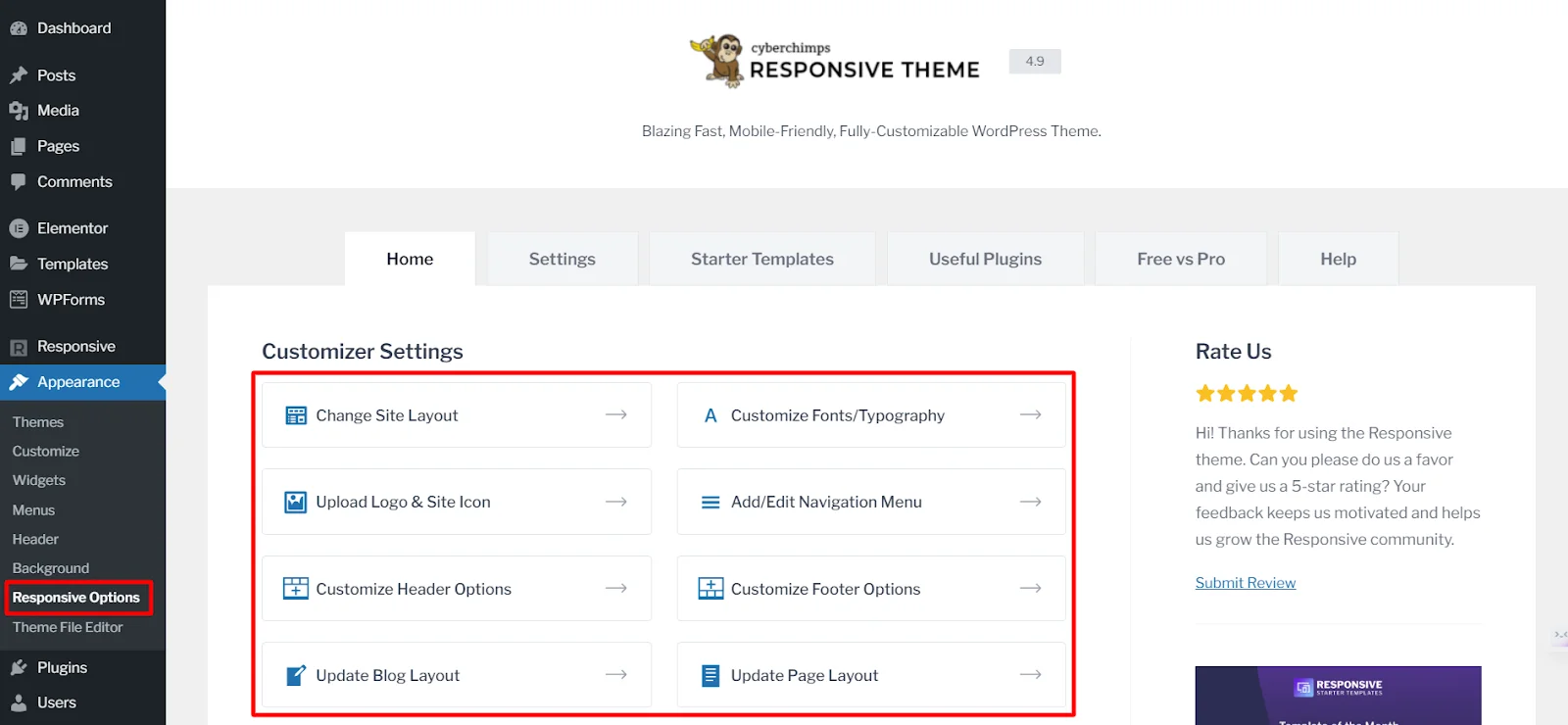 Customizer Options - Cyberchimps Responsive theme review